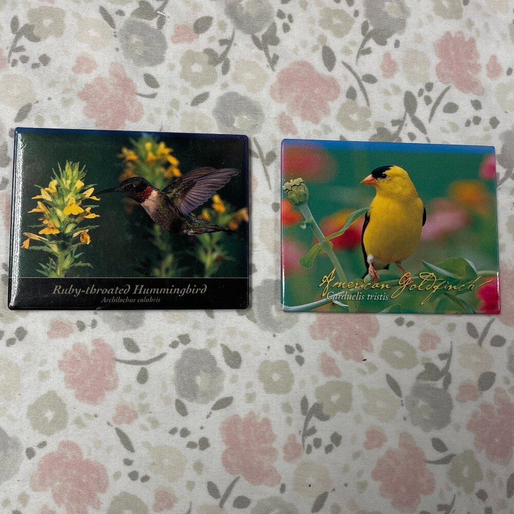 Set of 2 Small Magnets - Hummingbird and Goldfinch (3" wide each)